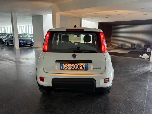 FIAT Panda Panda 1.0 firefly hybrid s&s 70cv 5p.ti - Foto 4