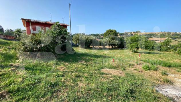 Terreno Residenziale - Colonnella . Rif.: Cod. rif A114VRG - Foto 2