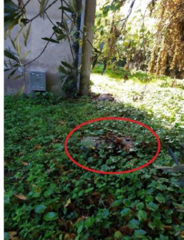 Immobile in asta di 129 m² in vendita a Velletri - Foto 4