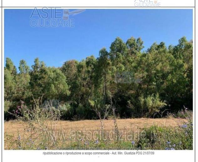 IMMOBILI-ALTRA CATEGORIA-Via Lamarmora, Loc. Mussa de Mei - Fraz.Bacu Abis