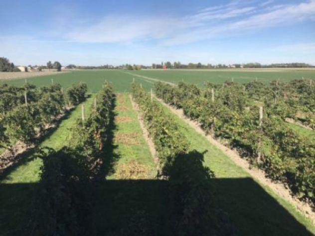 Terreno di 18000 m² in vendita a Carpi - Foto 2
