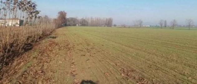 Immobile in asta di 27420 m² in vendita a Nogara - Foto 3