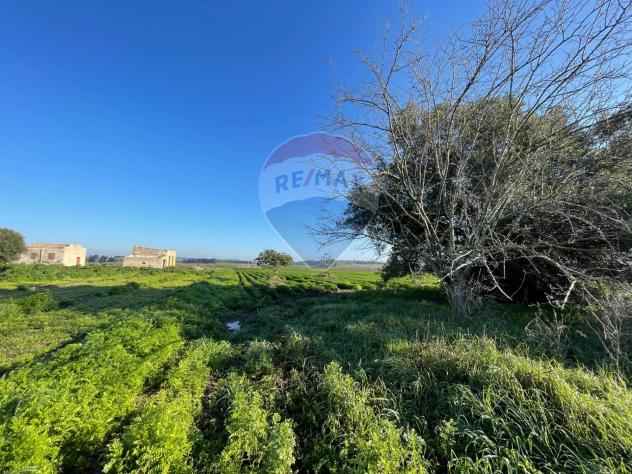 Terreno in vendita a Noto - Foto 3