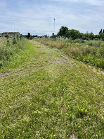 TERRENO AGRICOLO di 7000 mq (PIETRASANTA) rif. 167 - Foto 2