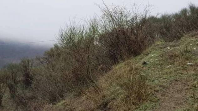 Immobile in asta di 180 m² in vendita a San Mauro Forte - Foto 6