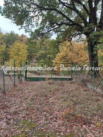 RIF 111 Un'opportunità unica per chi sogna di vivere immerso nella natura! - Foto 4