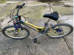 Bici da 24