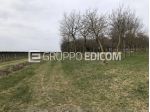 Unità collabenti in vendita a Oderzo - Rif. 4558473