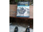 Dizionaro Il morandini