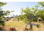 Terreno agricolo in vendita a Limoncino - Livorno 3500 mq  Rif: 1422179