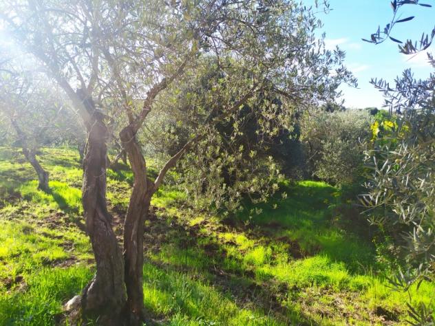 SASSARI LOCALITA' LA LANDRIGGA - Foto 10
