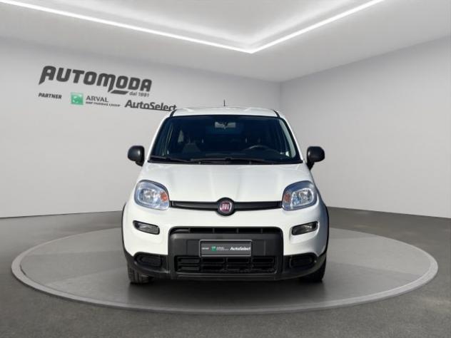 FIAT Panda VAN N1 4 POSTI 1.0 HYBRID rif. 24055425 - Foto 2
