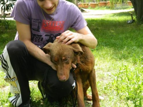 LINUS, bello e desideroso d 'amare - Foto 3