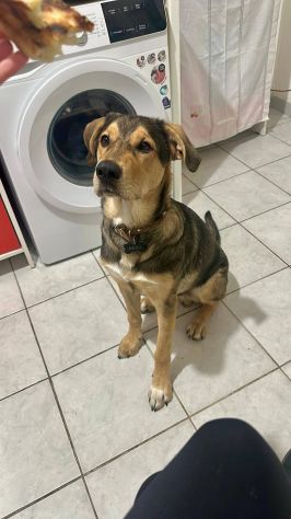 Ares