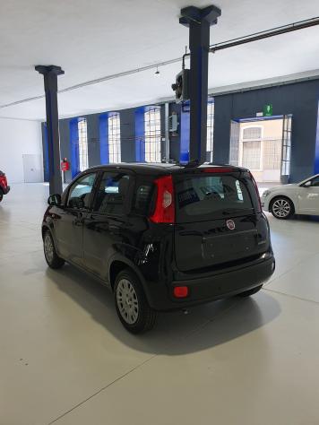 FIAT Pandina Pandina 1.0 firefly hybrid Icon s&s 65cv - Foto 5