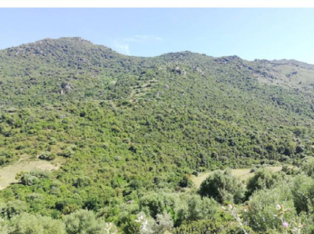 Immobile in asta di 436 m² in vendita a Austis - Foto 3