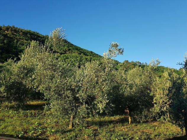 Rustico in vendita a Capannori - Foto 19