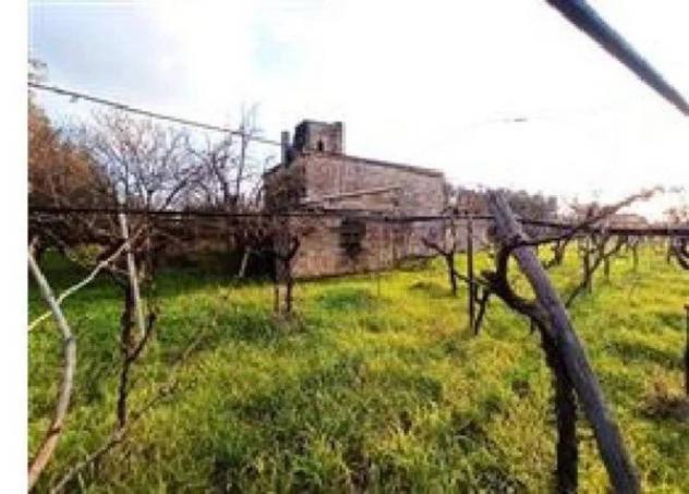 Immobile in asta di 155604 m² in vendita a Francavilla Fontana - Foto 7