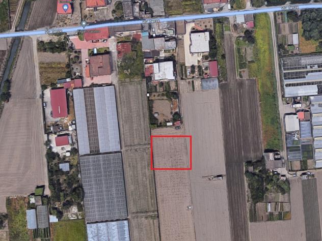 Agricolo in Via Terze