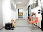 Laboratorio in affitto a San Miniato 380 mq  Rif: 1387974