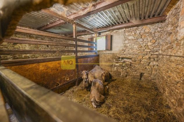 Si propone tenuta adibita ad allevamento per trasferimento attività - Foto 9