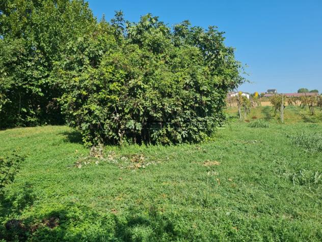 Rustico in vendita a Agugliaro - Foto 9