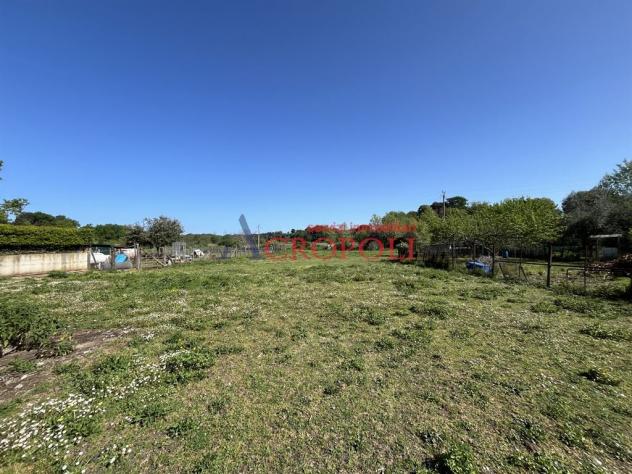 Terreno di 2300 mq in località Mola Vecchia - Foto 3
