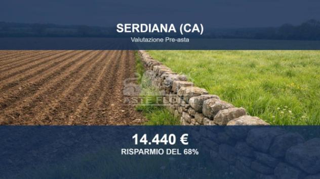 Immobile in asta di 63510 m² in vendita a Serdiana