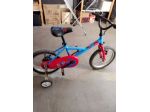 Bicicletta