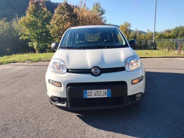 FIAT Panda 1.0 FireFly 70cv S&S Hybrid - Foto 2
