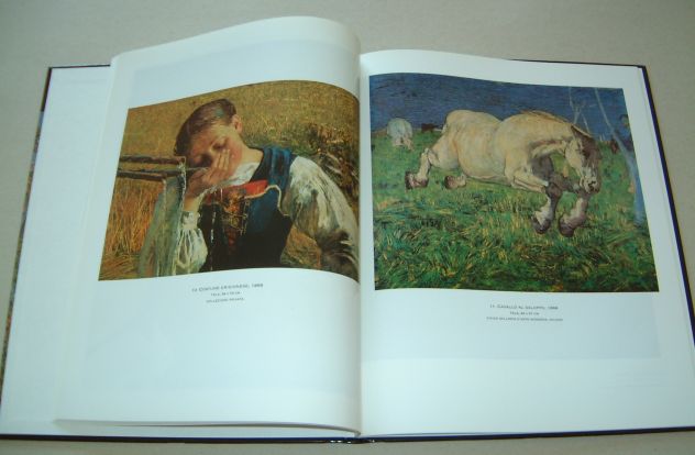 Segantini - Il gigante della montagna - Foto 6