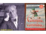 Cammina, cammina..., GIUSEPPE FANCIULLI, Marzocco, Firenze 1945.