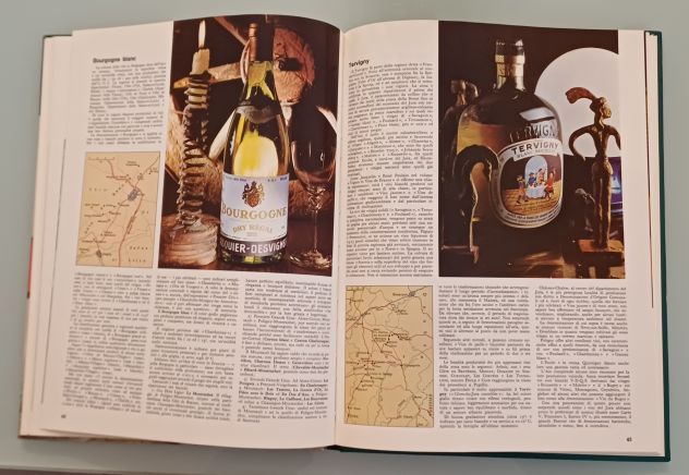 Vini bianchi e rosati e Vini rossi, DeAgostini 1971. - Foto 4