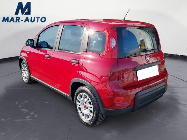 FIAT Panda Panda 1.0 firefly hybrid s&s 70cv - Foto 2