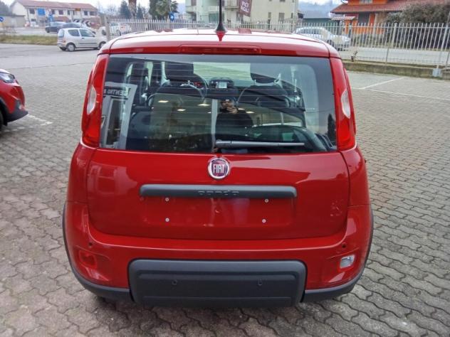 FIAT Panda 3ª serie Panda 1.0 FireFly S&S Hybrid Icon - Foto 4