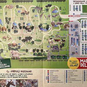 ZOO SAFARI di RAVENNA OTTO BIGLIETTI ORIGINALI: DISPONIBILI anche SINGOLARMENTE - Foto 6