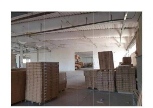 Immobile in asta di 3326 m² in vendita a Casciana Terme Lari - Foto 9