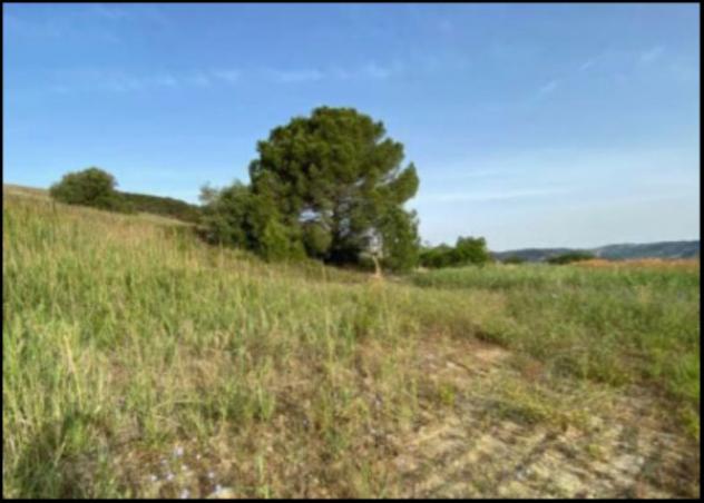 Immobile in asta di 7166 m² in vendita a Montescaglioso - Foto 10