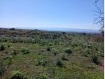 Terreno in vendita a Belpasso