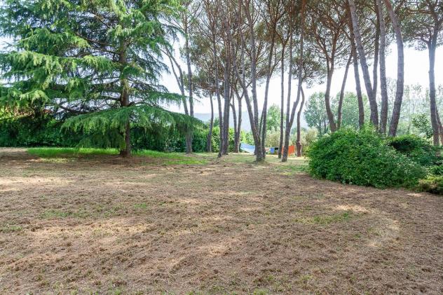 Rustico in vendita a Camaiore 220 mq Rif: 1330485 - Foto 10