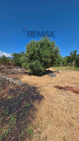 Terreno in vendita a Giarre - Foto 10