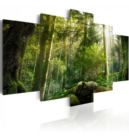 Quadro Foresta Selvatica 100x50 E 200x100 ARREDALACASA