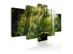 Quadro Foresta Selvatica 100x50 E 200x100 ARREDALACASA