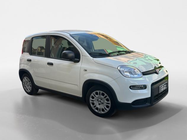 Fiat Panda 1.0 FireFly S&S Hybrid Pandina - Foto 8