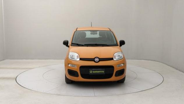 FIAT Panda 1.0 hybrid Easy s&s 70cv rif. 22540706 - Foto 8