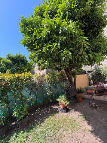 Terratetto in vendita a Vado - Camaiore 75 mq Rif: 1417302 - Foto 5