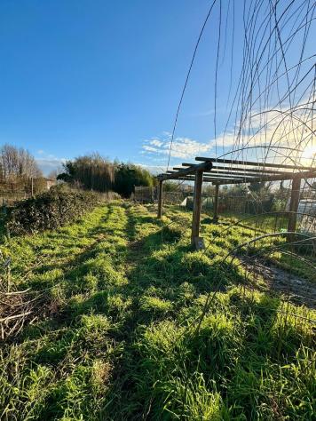 Terratetto in vendita a Lammari - Capannori 150 mq Rif: 1385204 - Foto 8