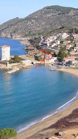 Casa vacanza isola del giglio - Campese - Foto 7