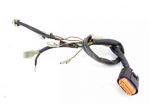 BETA RR 520 4T 020401010000 CABLAGGIO POSTERIORE 10 - 12 REAR WIRING