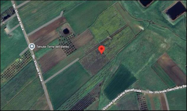 Immobile in asta di 33570 m² in vendita a Paceco - Foto 12